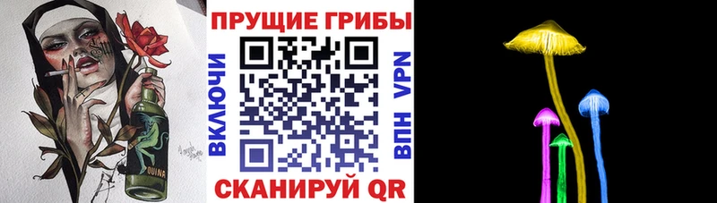 Галлюциногенные грибы Psilocybine cubensis  Томилино 